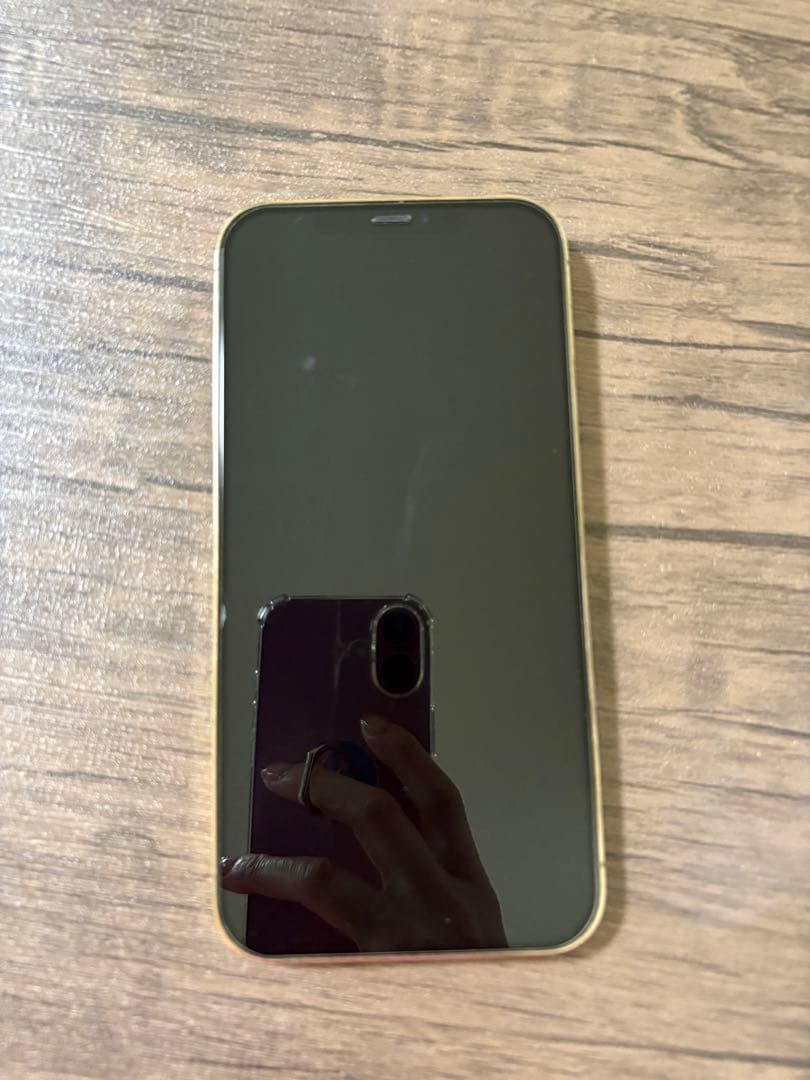 【志】 iPhone12 ProMax 256GB