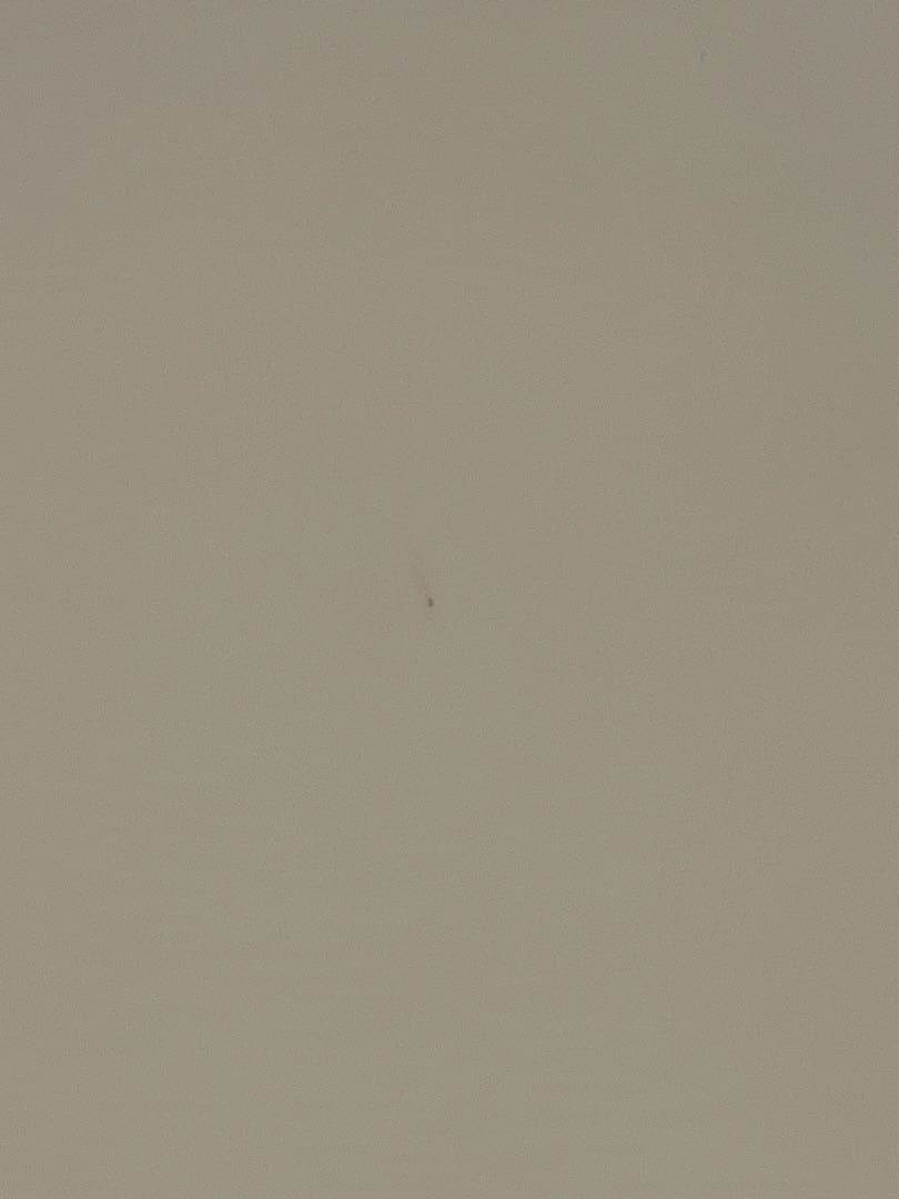 プロジェクタースクリーン（床置き式）サンワサプライ80型相当