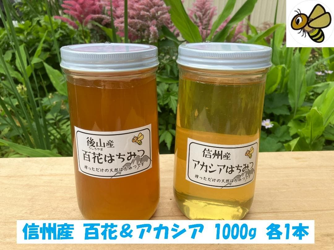 国産蜂蜜 アカシア 百花 1000g 各１本 長野県産 セイヨウミツバチ