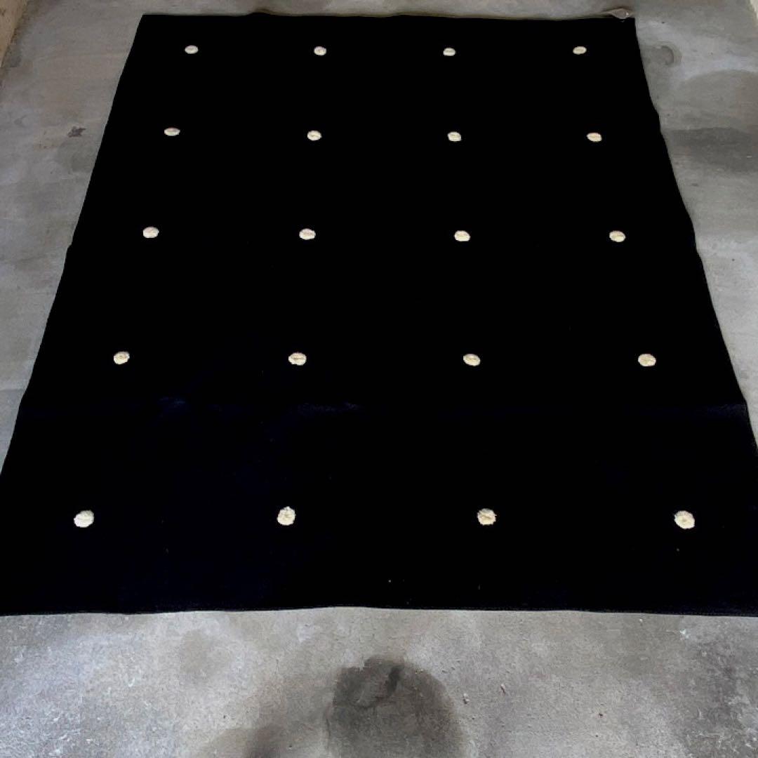 パオラレンティ paola lenti ラグ / カッシーナ アルフレックス