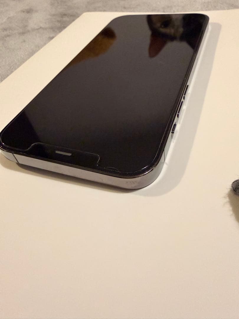 iPhone 12 Pro Max 256GB（グラファイト）SIMフリー