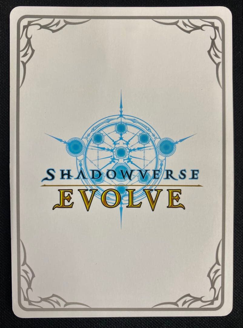 ［プリンセスフォーム］ヒヨリ リーダー 1枚