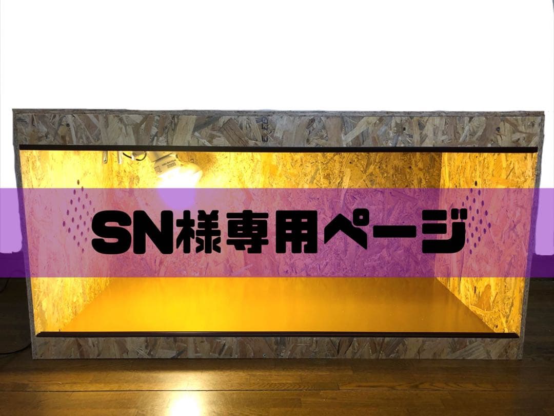 SNページ