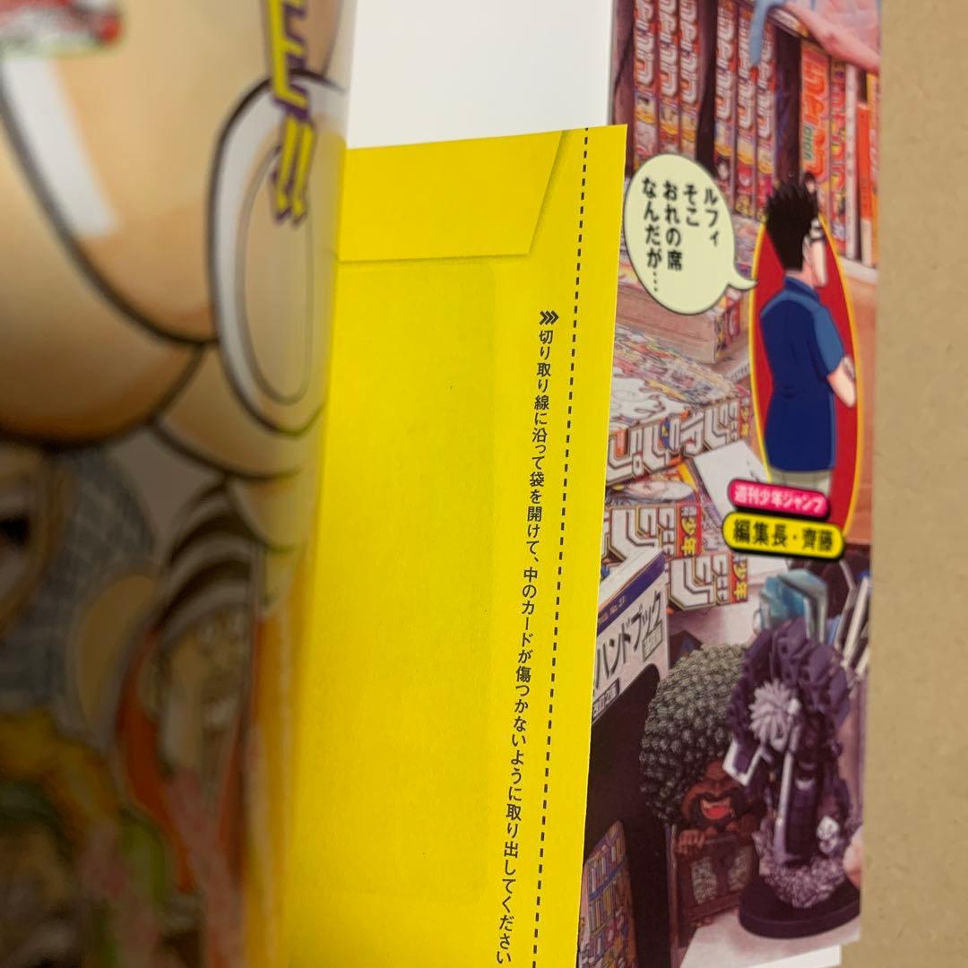 ONE PIECE MAGAZINE ワンピースマガジン　20号　プロモ付き