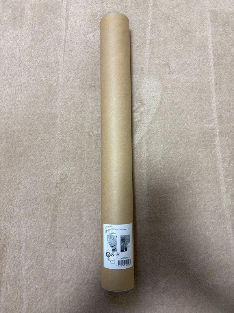 僕のヒーローアカデミア　A2アートポスター2枚セット