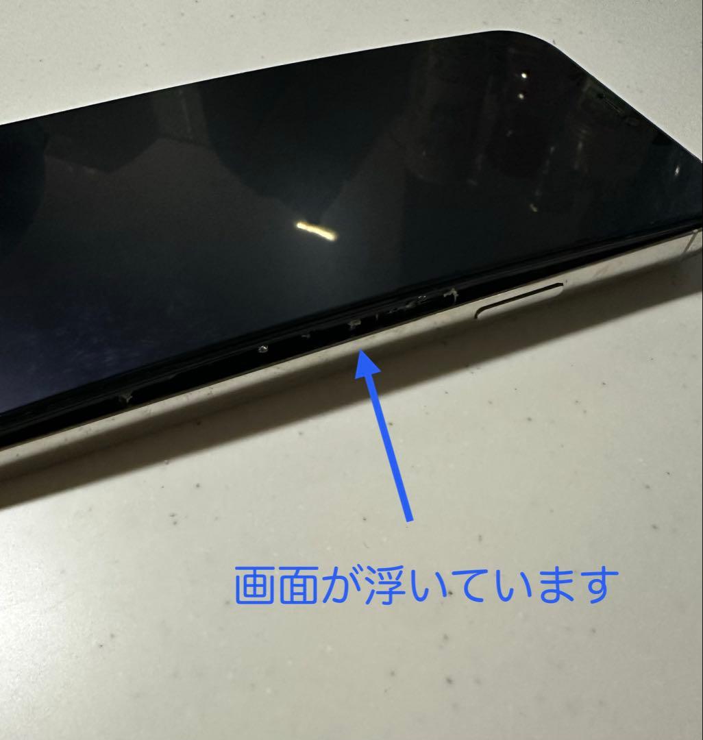 iPhone 12 Pro Max ジャンク品
