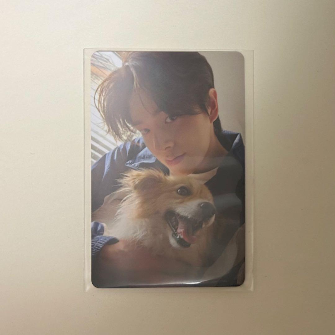 ENHYPEN アンケート トレカ ジェイク JAKE