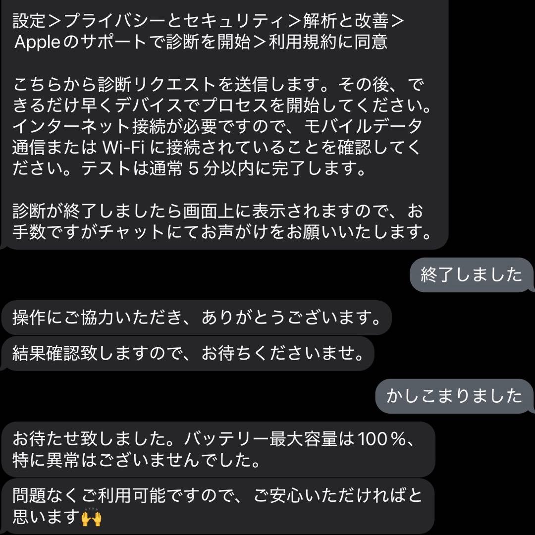 iPad Pro 11 第2世代 (バッテリー劣化無し) 128GB