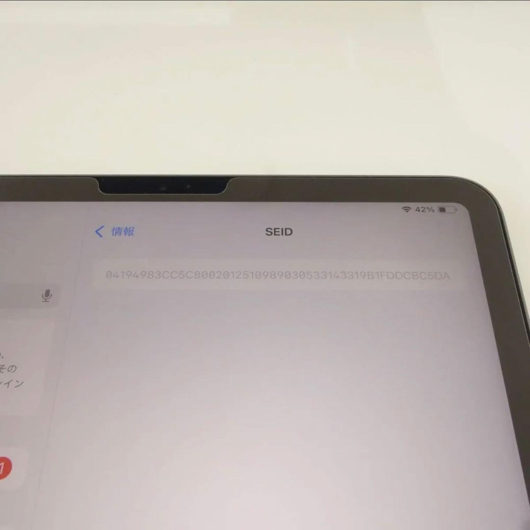 iPad Pro 11 第2世代 (バッテリー劣化無し) 128GB