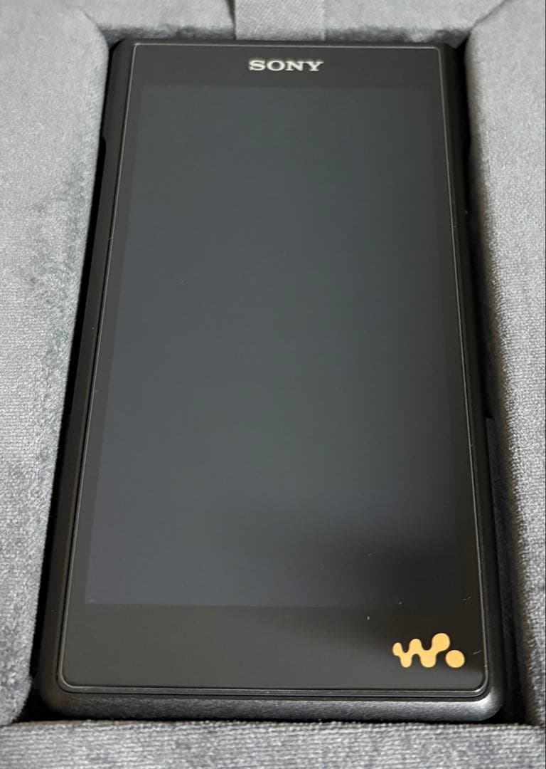 SONY NW-WM1AM2 デジタルオーディオプレーヤーとケース