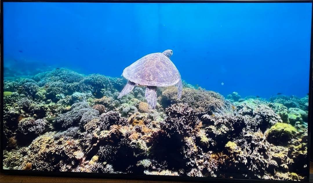 LG nano91 55型　液晶テレビ