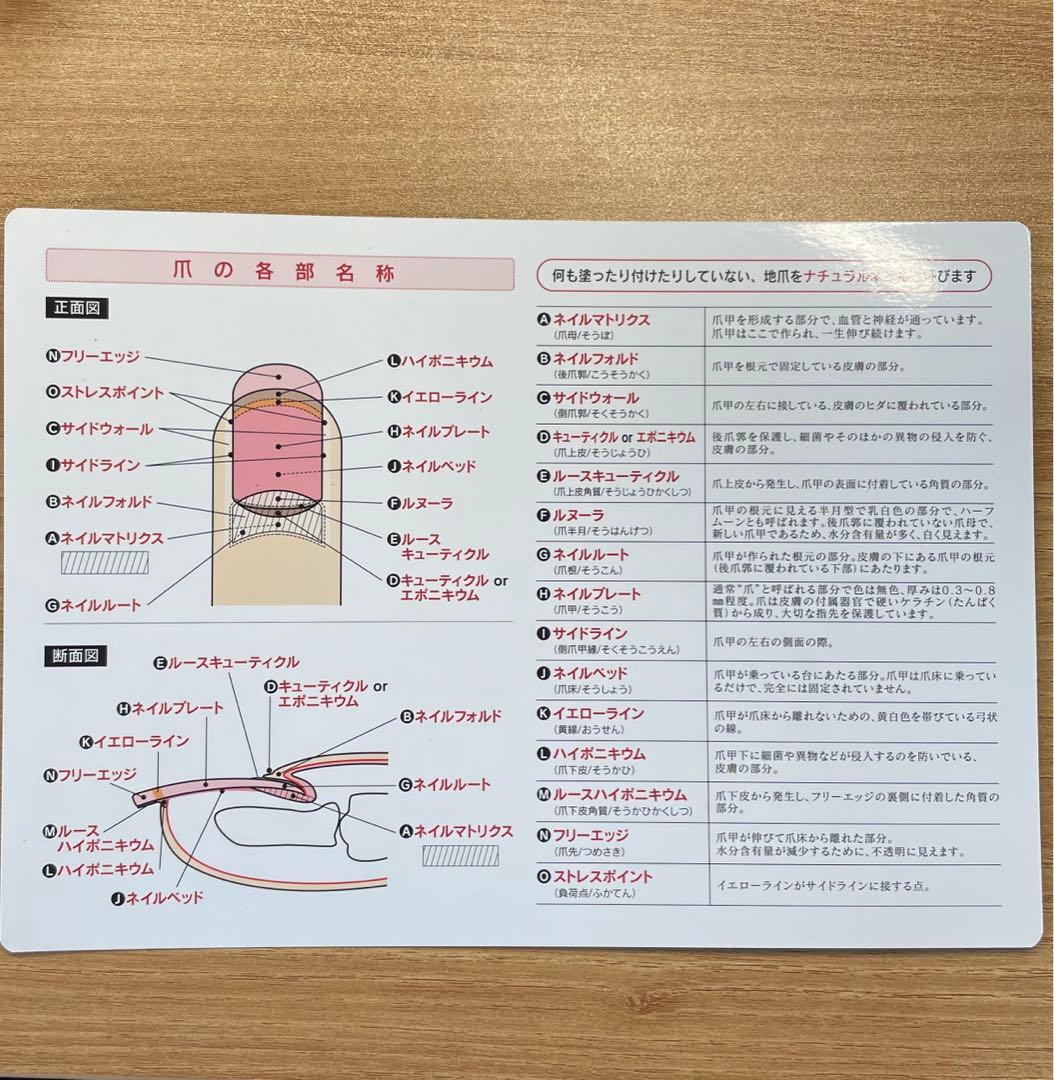 【即決◎】ユーキャン　ネイリスト講座 練習用ハンド セット