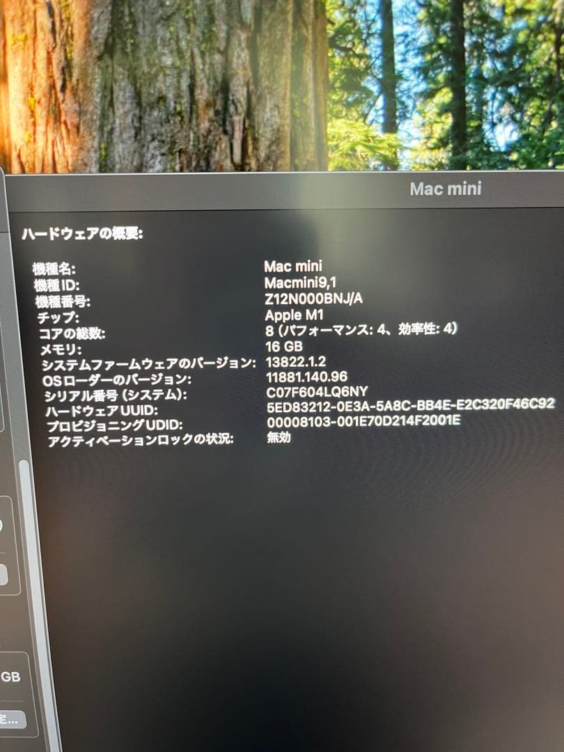 Macデスクトップ Apple Mac mini (M1, 16GB, 256GB)