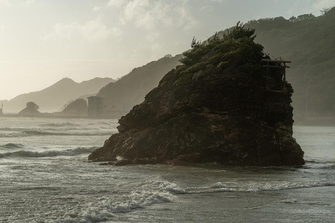 極上美品！魔法のボケ！SONY FE100mm GM STFボケ味特化レンズ