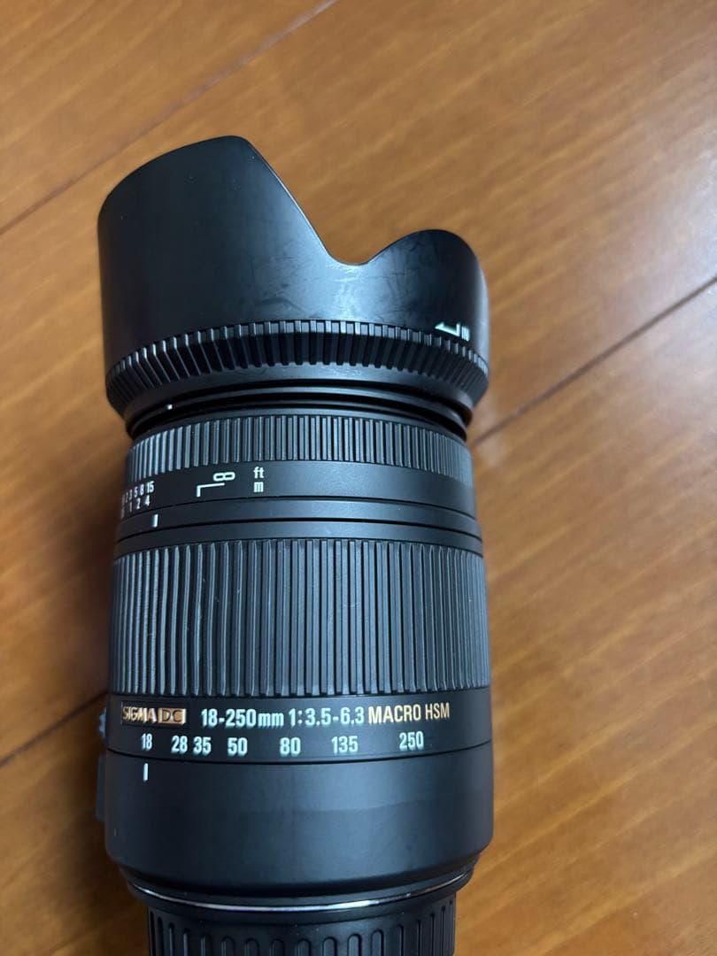 最後SIGMA DC 18-250 mm 1:3.5-6.3 MACRO HSM