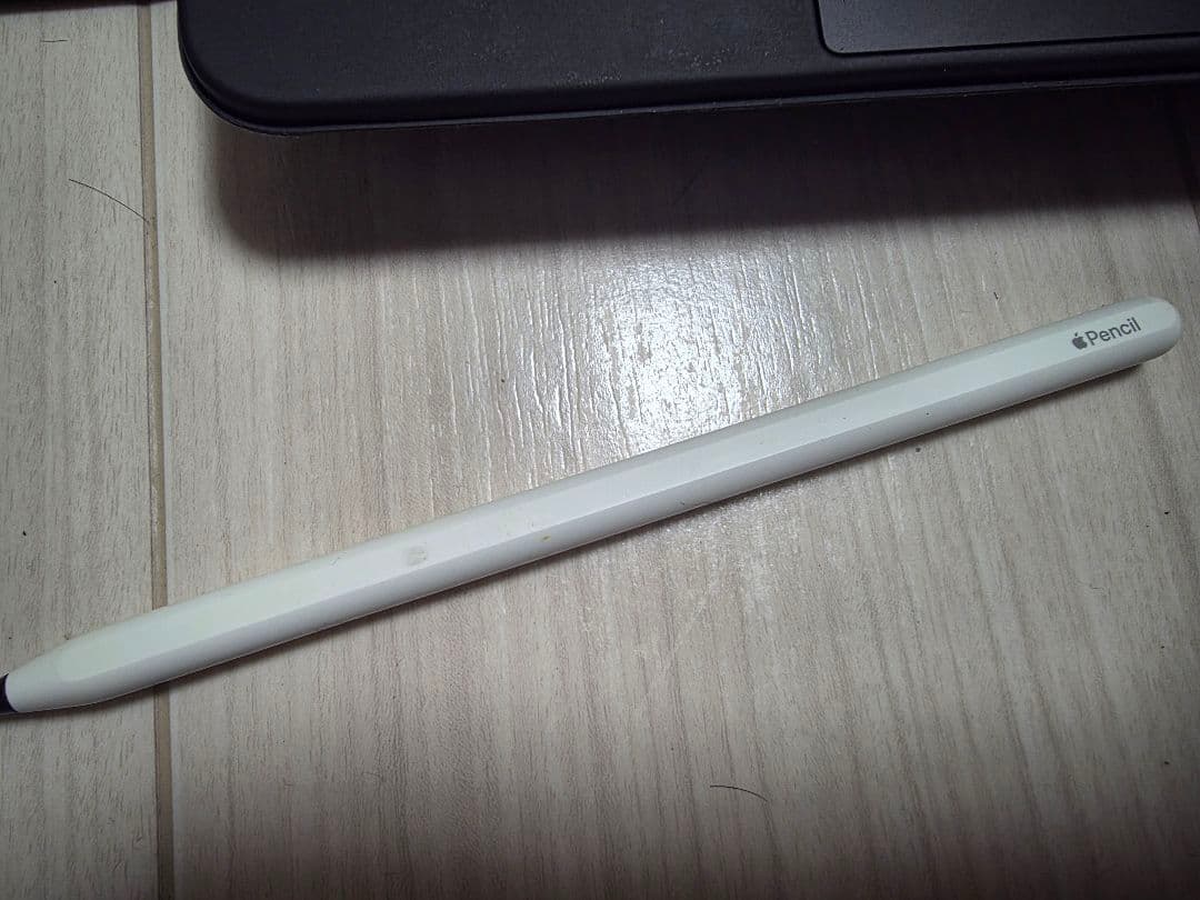 Apple iPad Pro M1(第3世代) 11インチ 256GB おまけ付