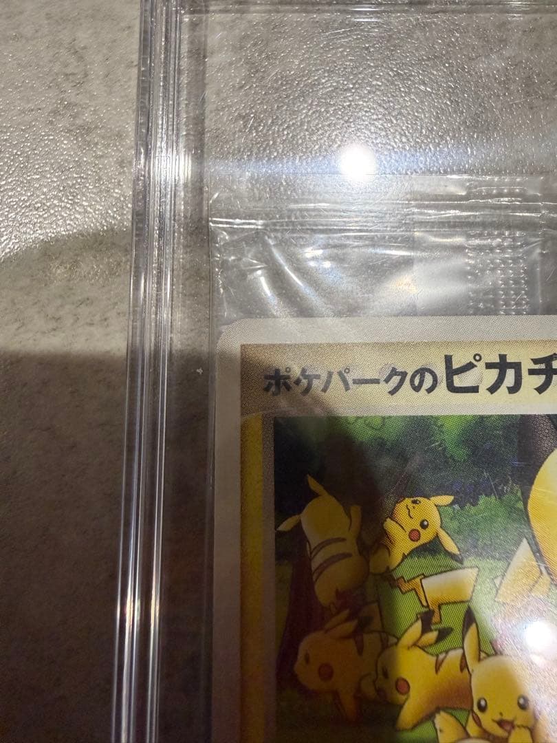 ポケパークのピカチュウ PROMO PCG-P043/PCG-P 未開封