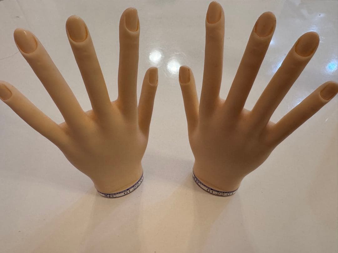 【peco】JNEC 認定モデルハンド 2個セット