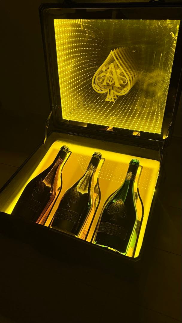 アルマンド ケース ディスプレイ アタッシュ ライト シャンパン LED