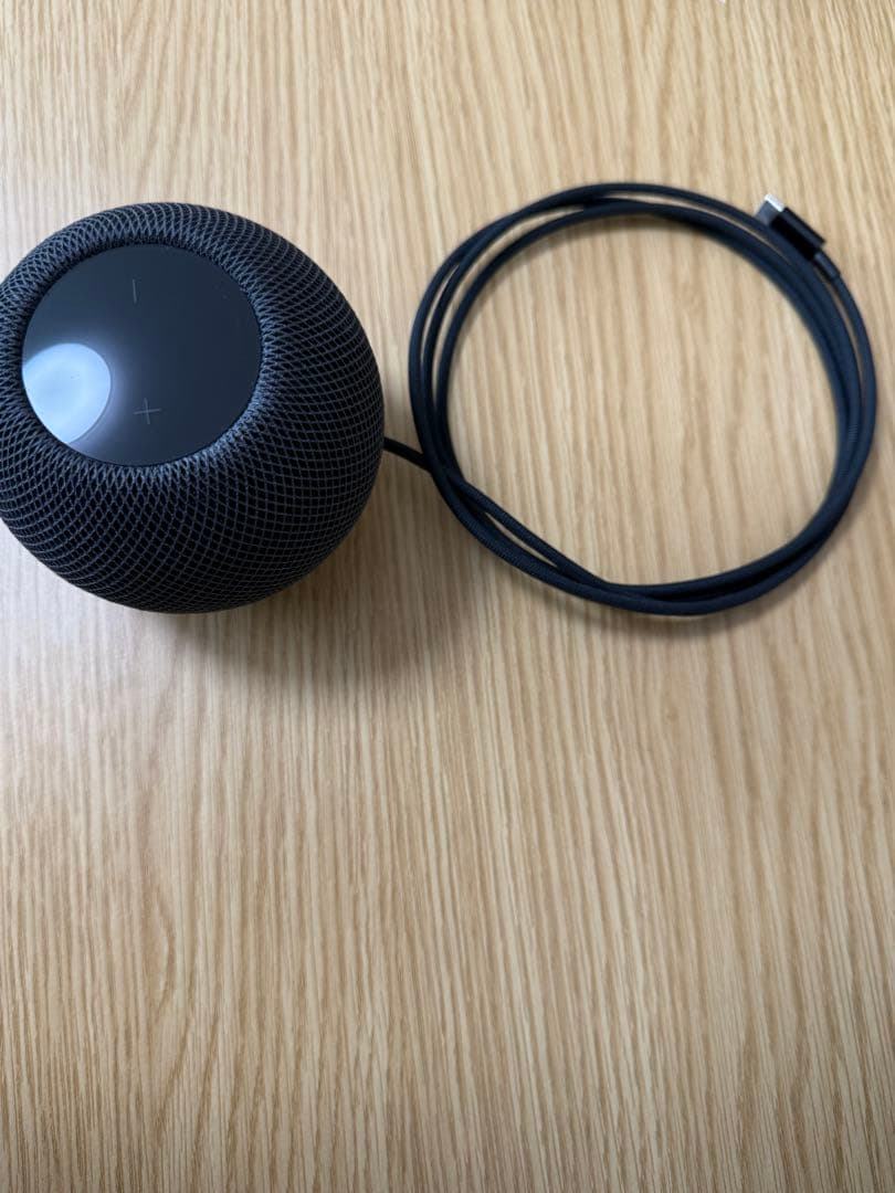 美品　Apple Pod mini スペースグレイ