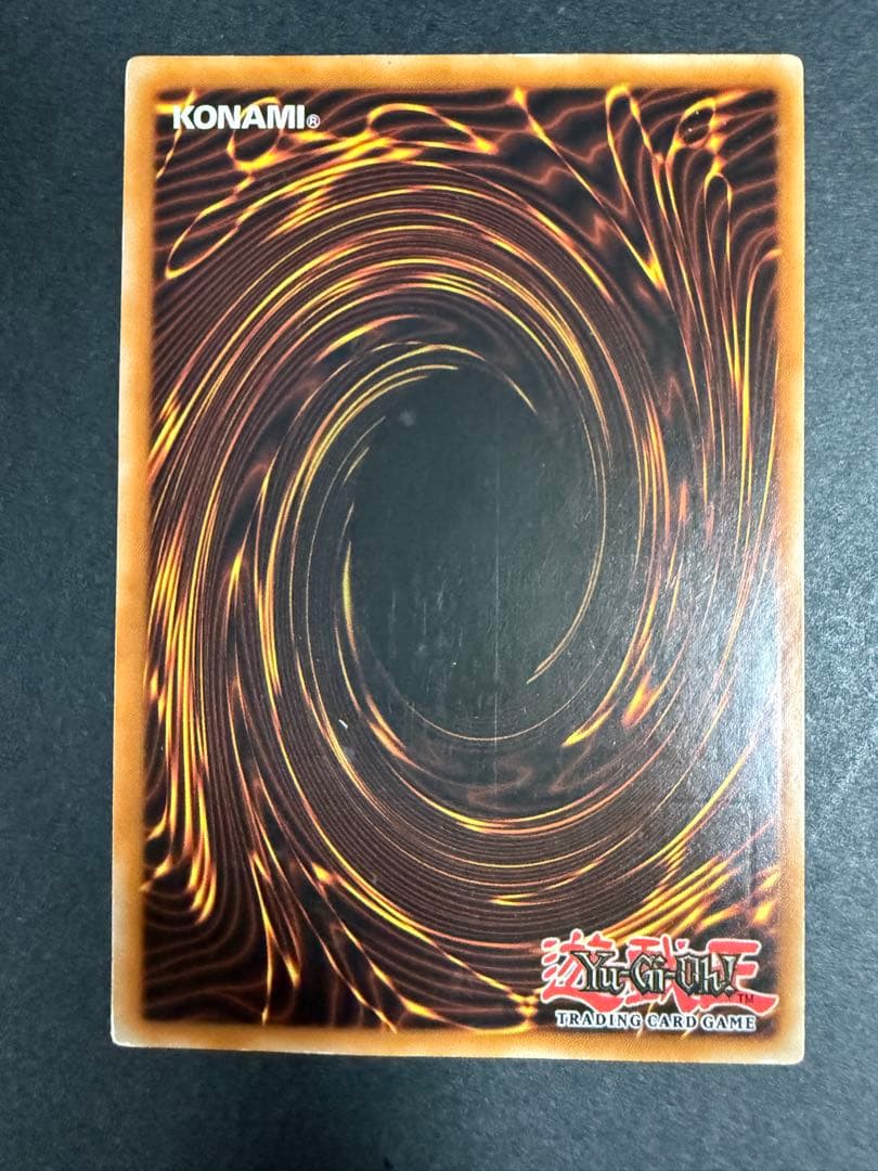 ライオウ　レリーフ　EUフランス