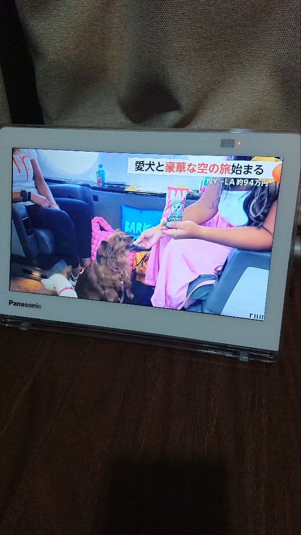 Panasonicプライベートビエラ　UN-10CN9