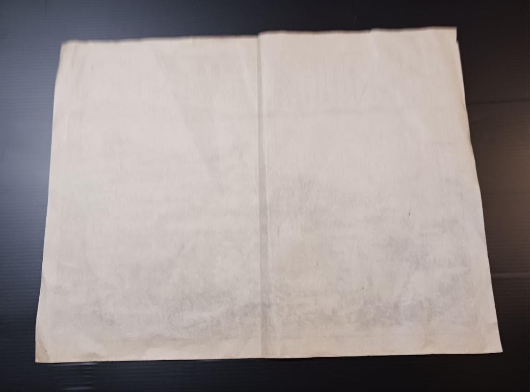 江戸後期 摂津大坂城下図 木版刷 古地図