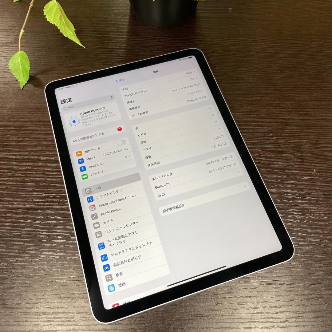 iPad Air 11インチ（M2 チップ ）256GB Wi-Fiモデル