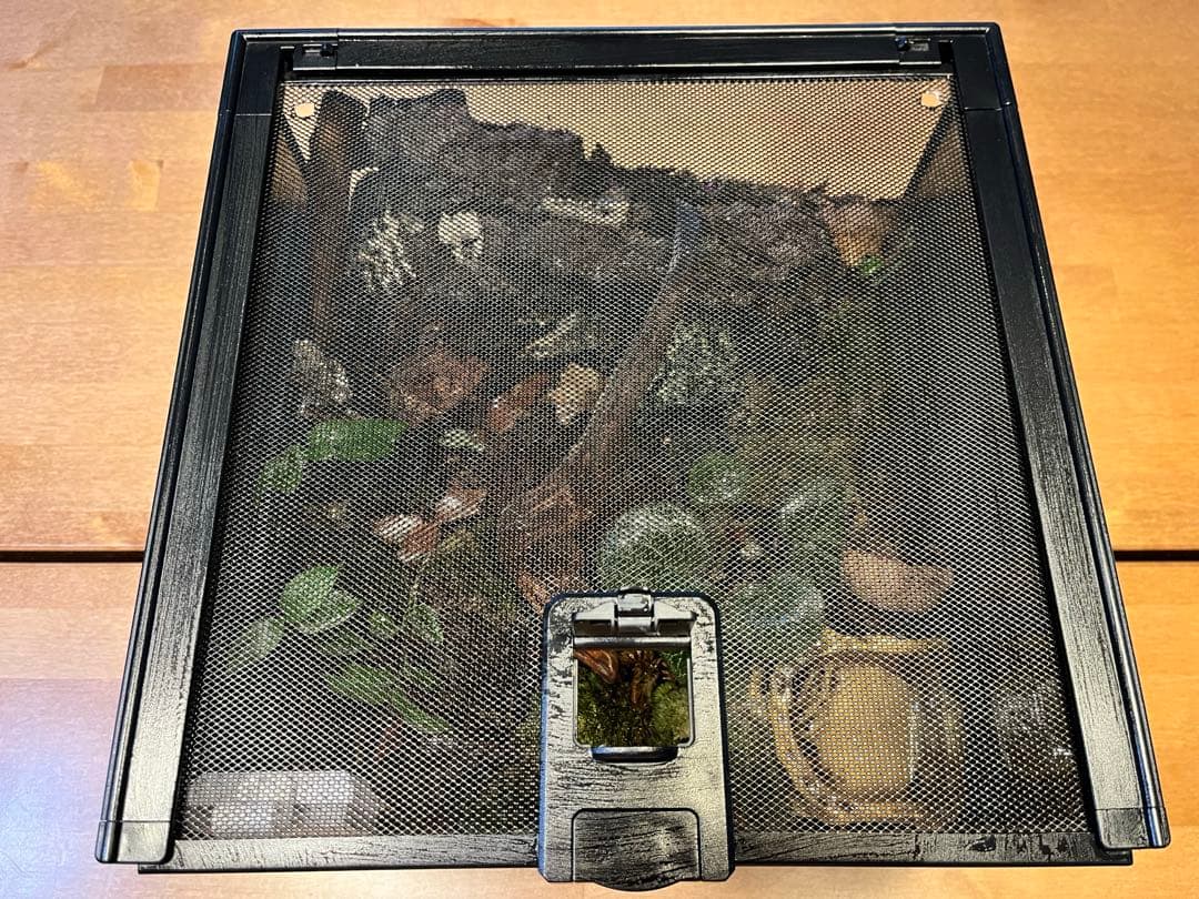 テラリウムケージ 30×30×25cm ヤモリ・イモリ飼育用／自然レイアウト