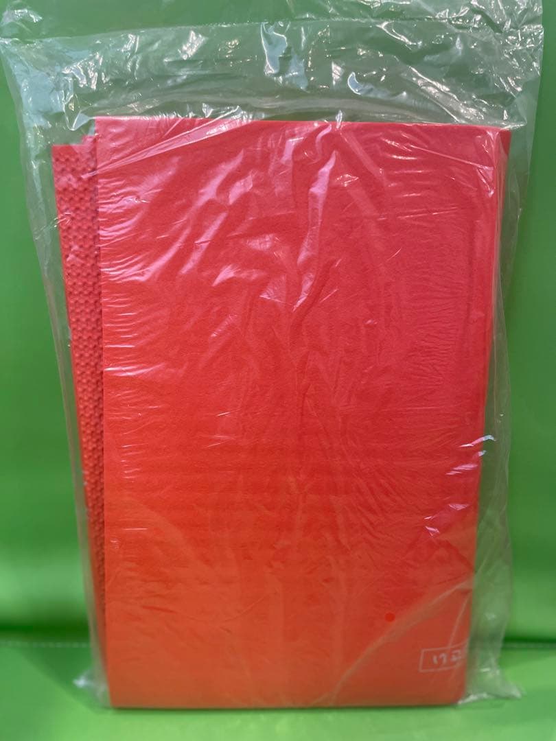 Squat Magic スクワットマジック 専用マット付き