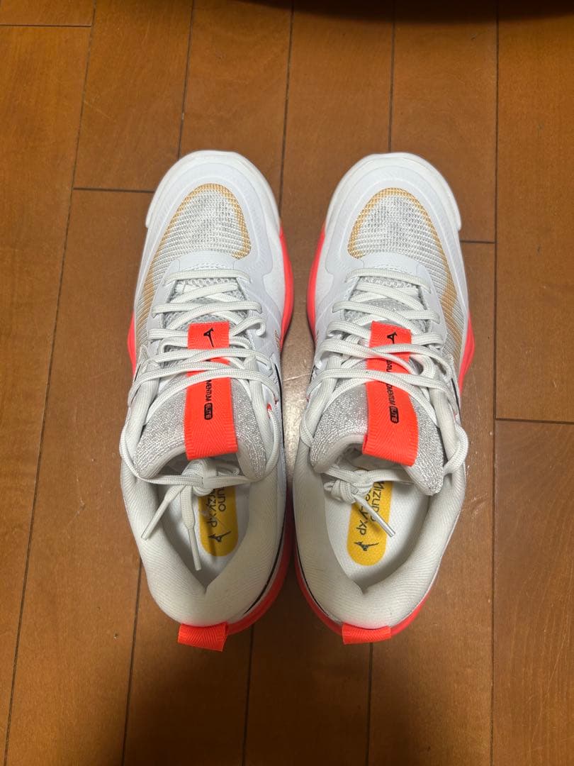 ミズノ　ウェーブモンタナム エリート バレーボールシューズ　25センチ