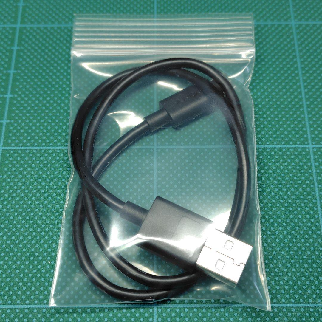 美品 SONY WALKMAN NW-A306 32GB ブルー