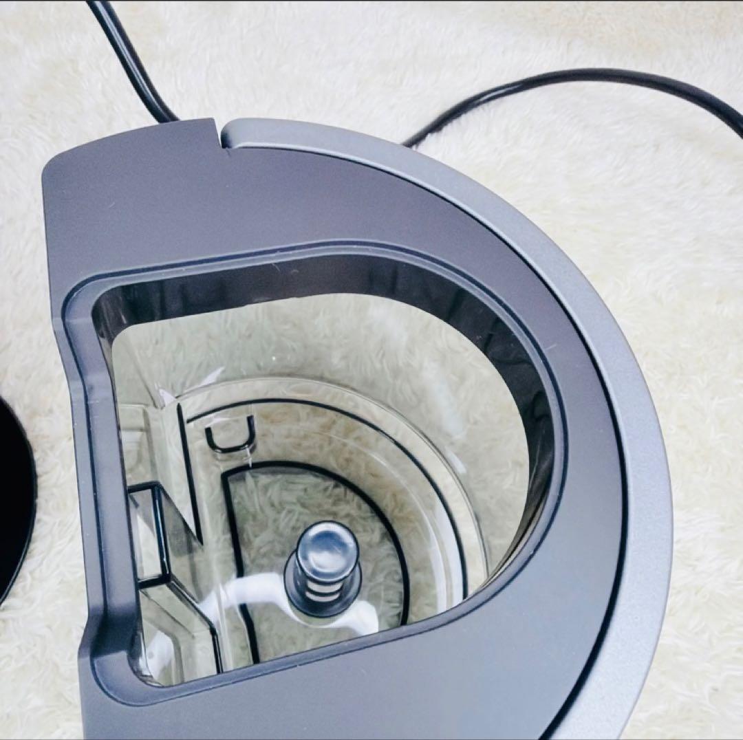 uzuuzu  Yadea R6 スチーム式カーペットクリーナー 本体