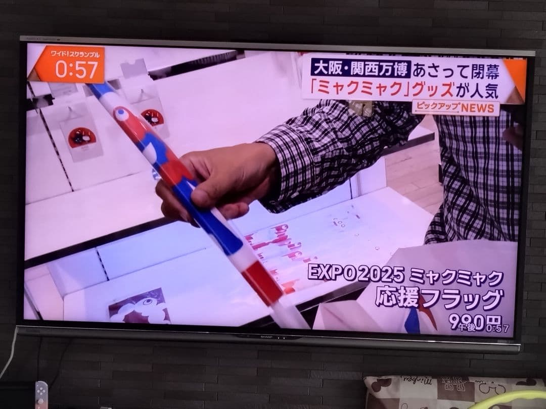 引取限定 AQUOS 60インチ液晶 LC-60XL10