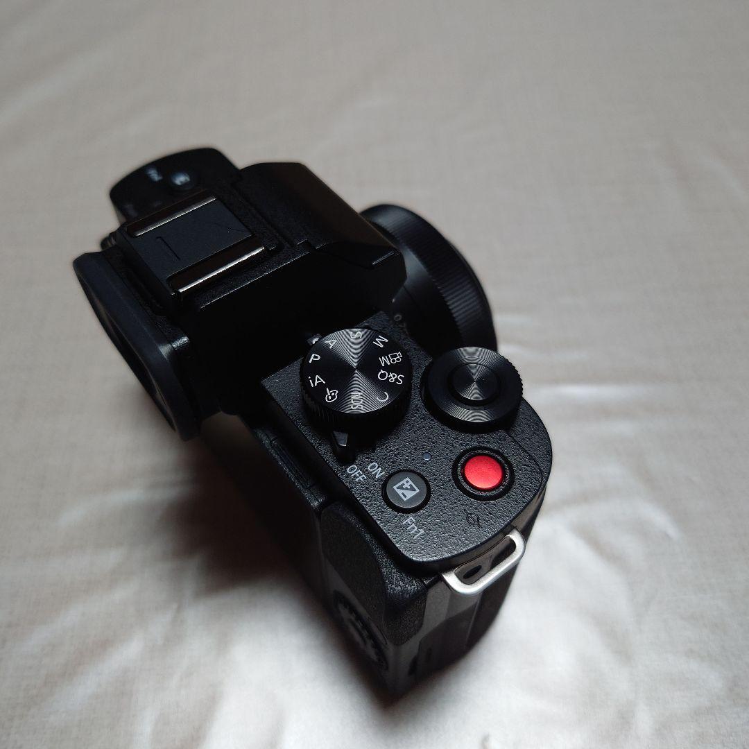 Panasonic LUMIX G100DK 標準ズームレンズキット