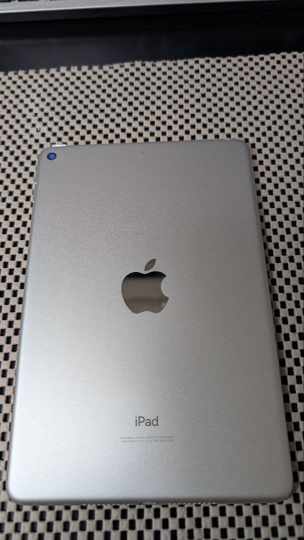 iPad Mini 第5世代　本体+箱