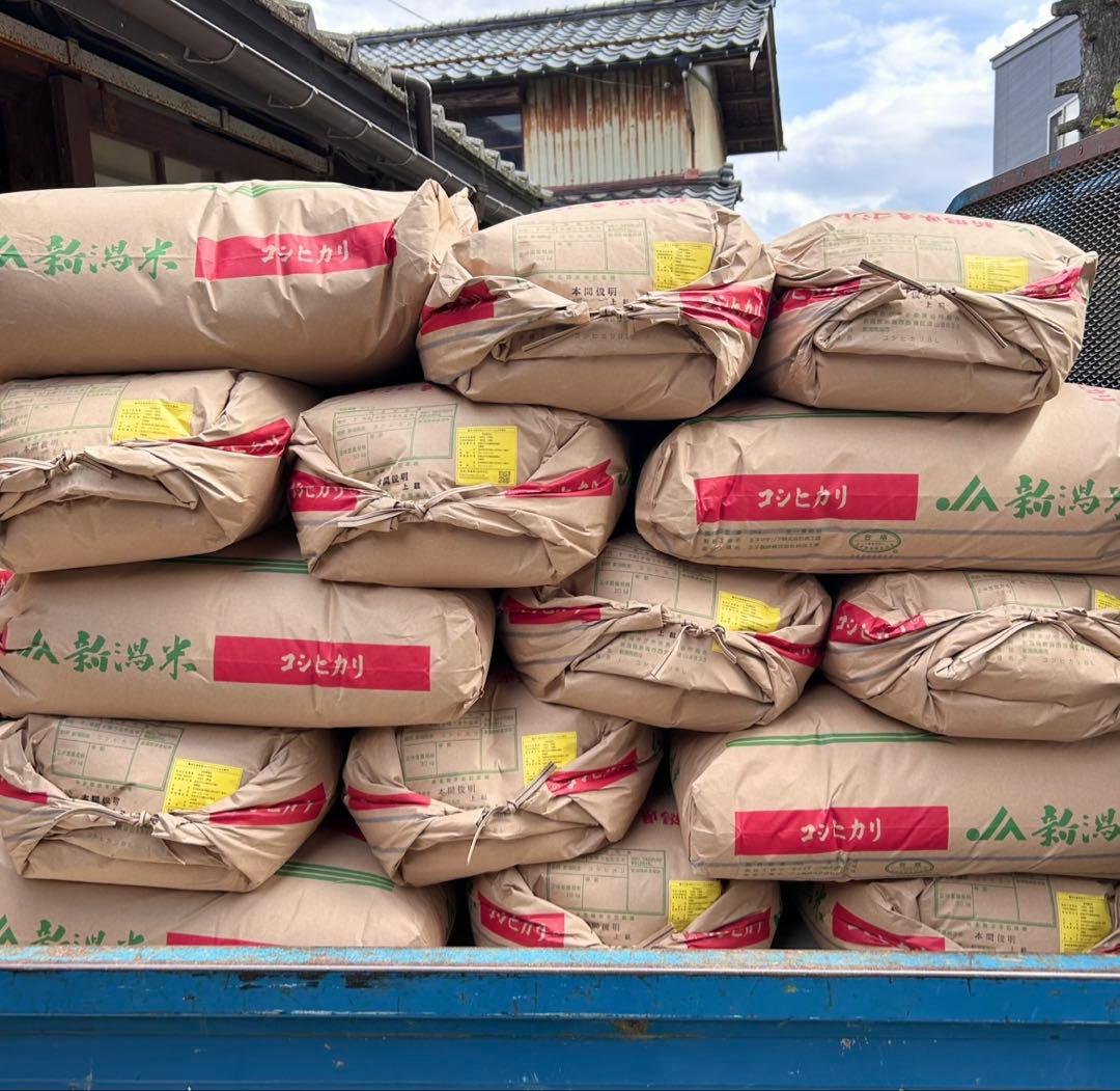 令和7年度産 コシヒカリ玄米 30kg