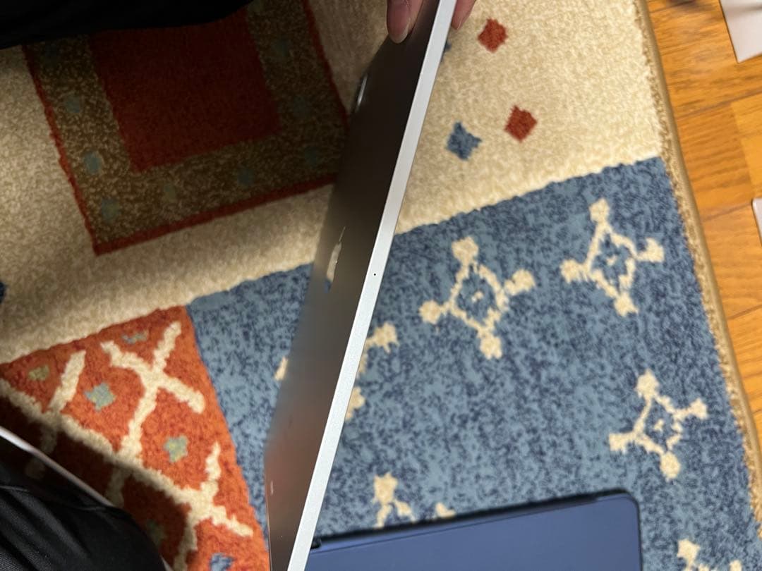 iPad Pro 11インチ 第2世代256GB Cellularモデル