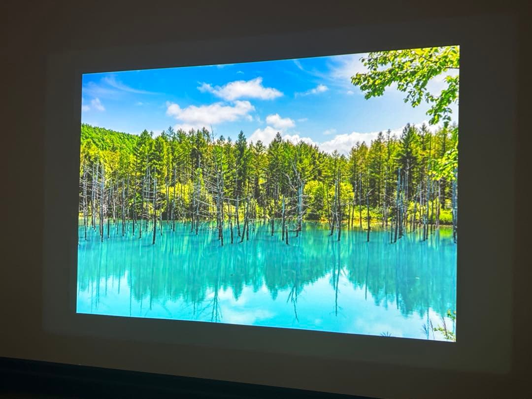 CanonプロジェクターWUX450 純正ケース•リモコン付き