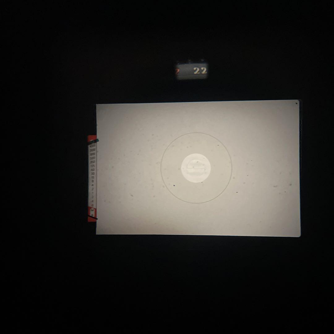 FE2 一眼レフ　フィルムカメラ