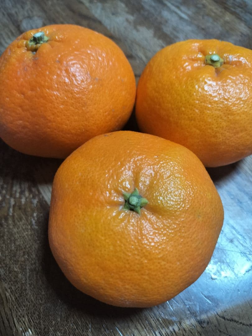 甘平　4L 秀品　箱込み10Kg　愛媛県松山市産