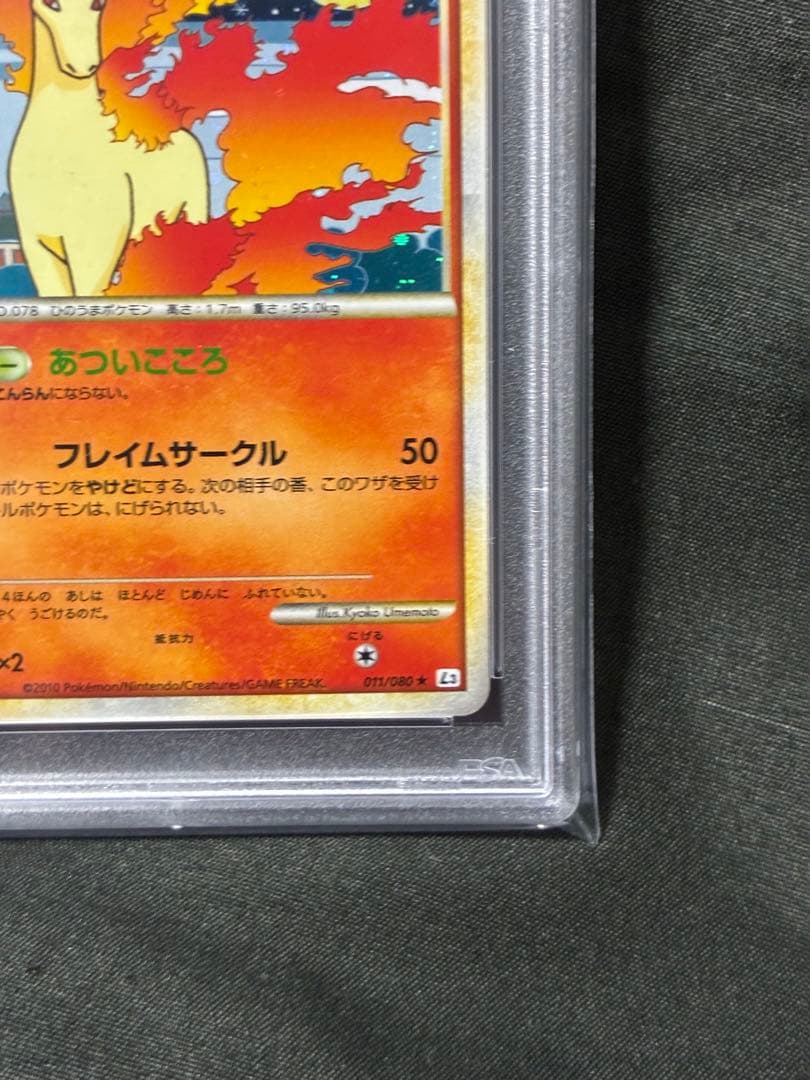 世界154枚 PSA10 ギャロップ ホロ 2010 011 16