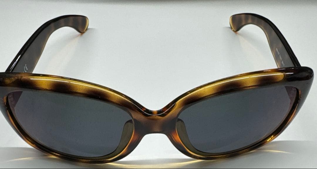 レイバン サングラス TALEXタレックスレンズ付き