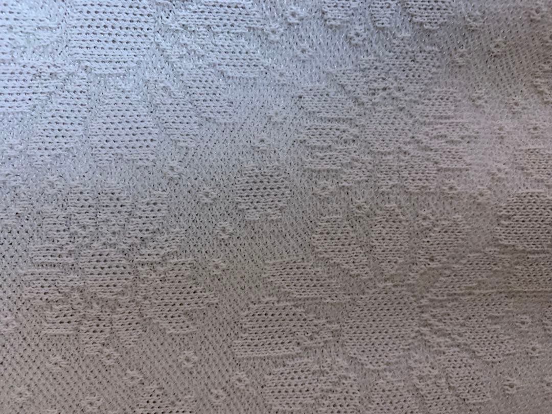 エムズグレイシー カーディガン　薄グレー　40 2025春コレクション