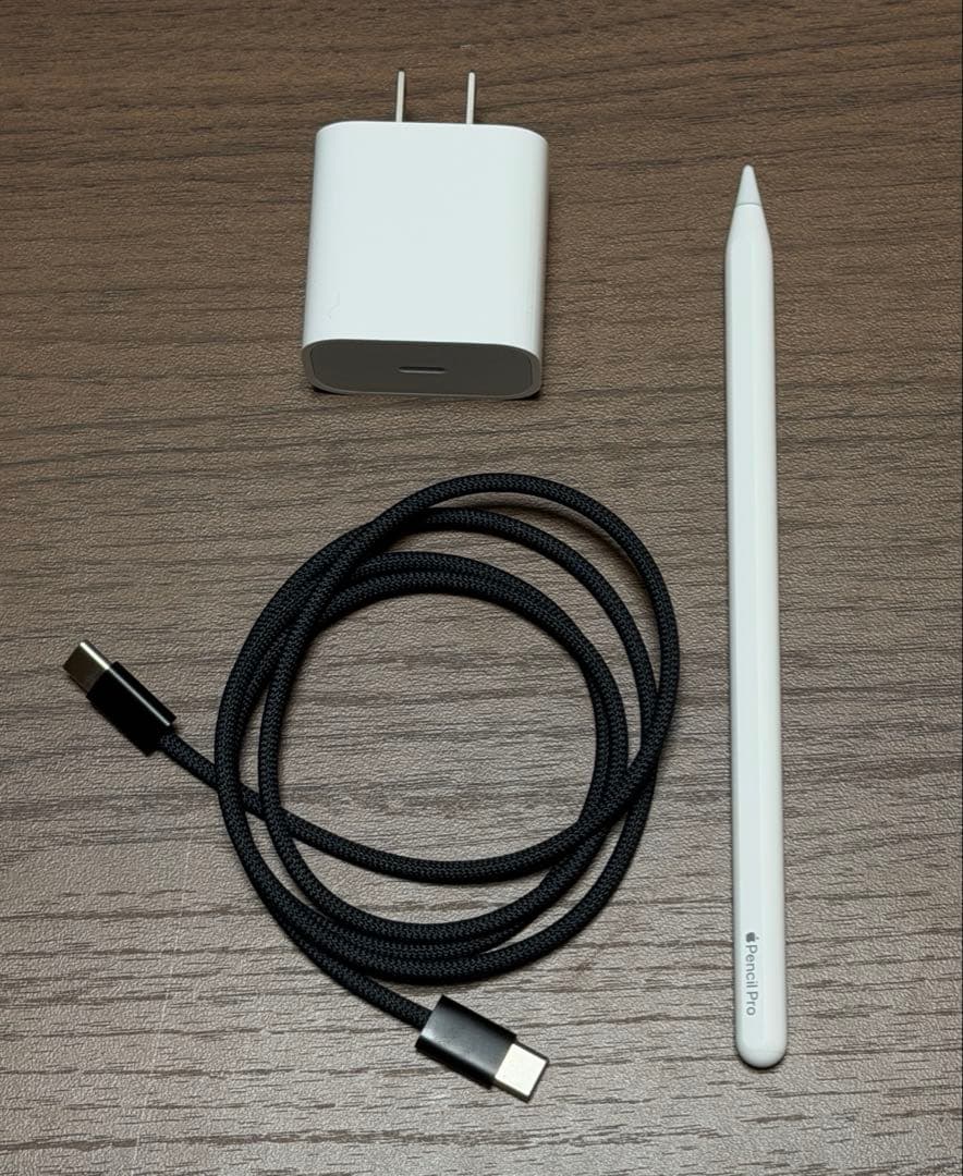 iPad Pro 13インチ 1TB おまけ付