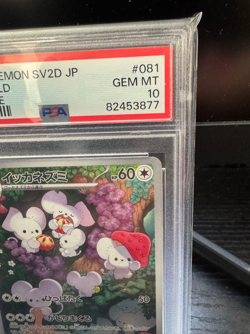 イッカネズミar PSA10 美品