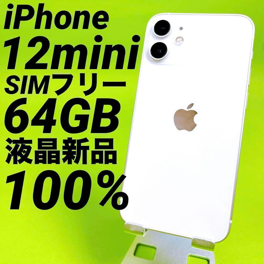 119⭐️iPhone12mini SIMフリー64GB 本体100% 液晶新品