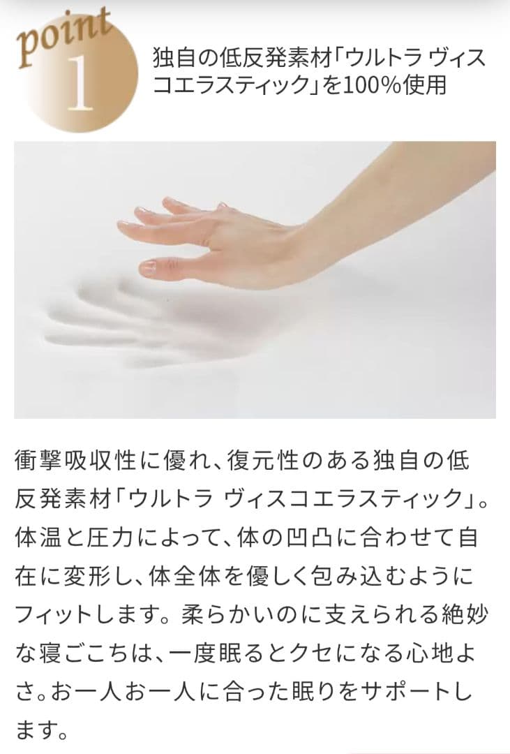 新品未開封トゥルースリーパー　シングル + カバー 低反発マットレス