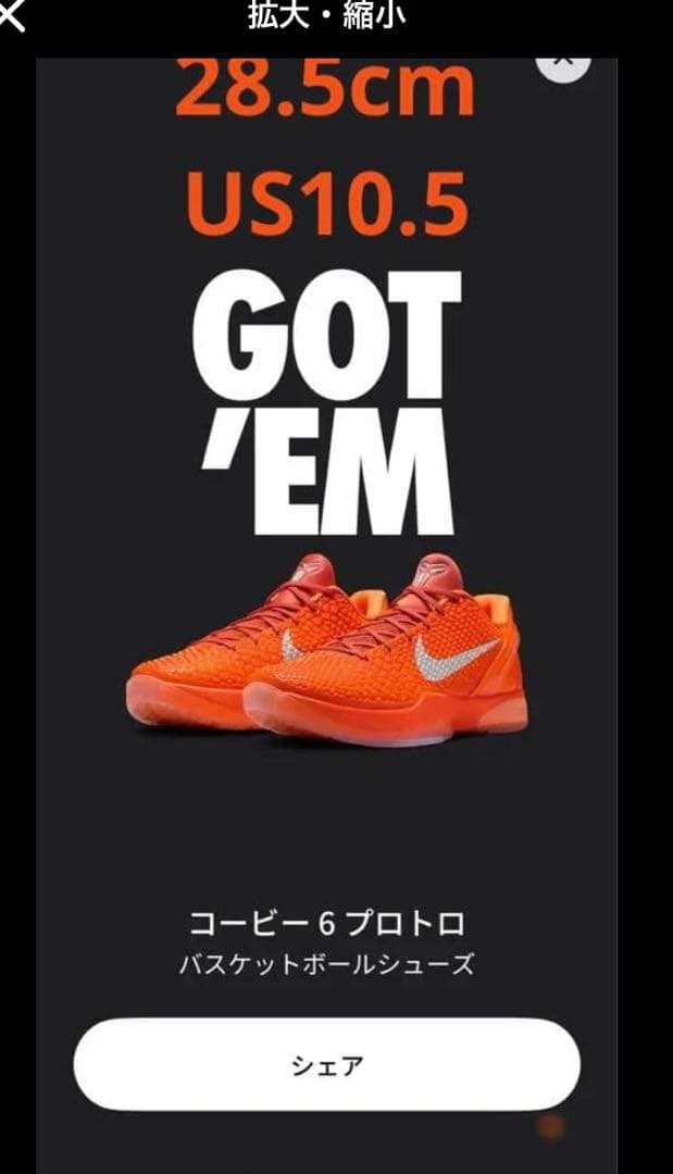 最安 Kobe 6 Protro Total Orange ballaholic