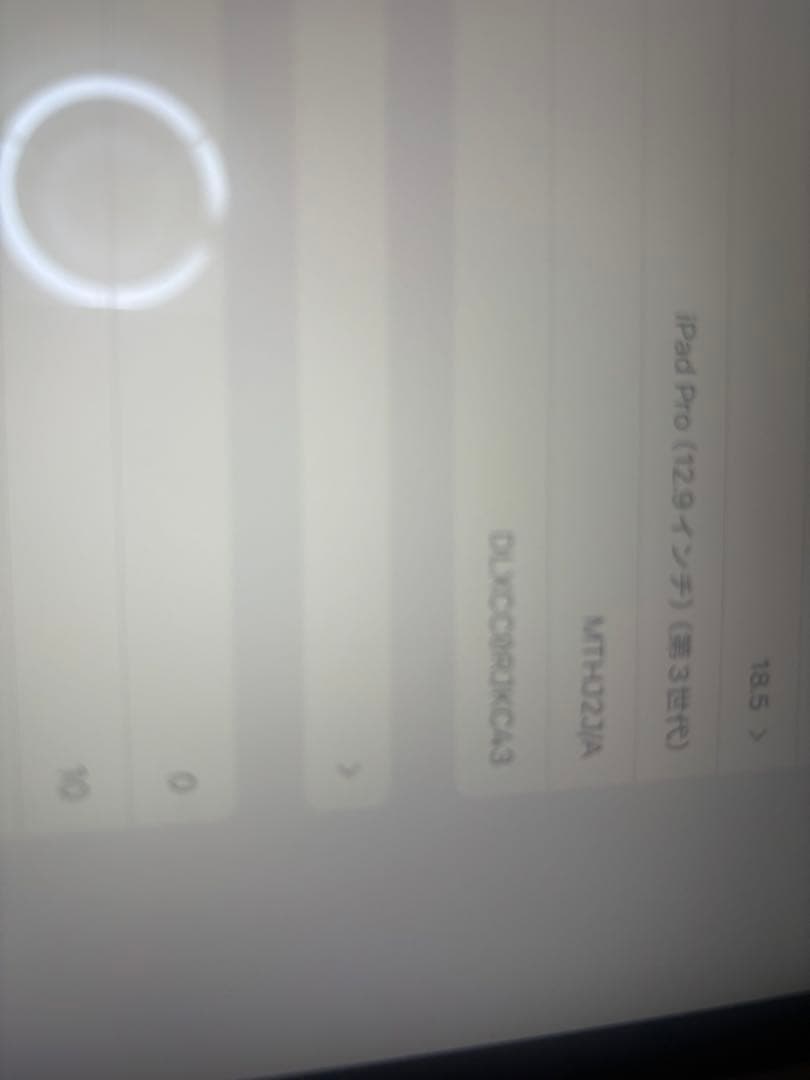 ズンマApple iPad Pro 3世代12.9 インチ